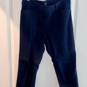 Ann Taylor Navy Petite Dress Pants